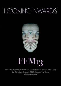 FEM13 'Looking inwards' There is no other material outcome foreseen to the meeting; the objectives are to think, contemplate, read, write, walk, talk, make work, share ideas, food and drink and try to find ways to survive through these changing times. Anything could happen!