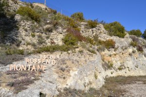 Artist in School Escola Rossend Montane
