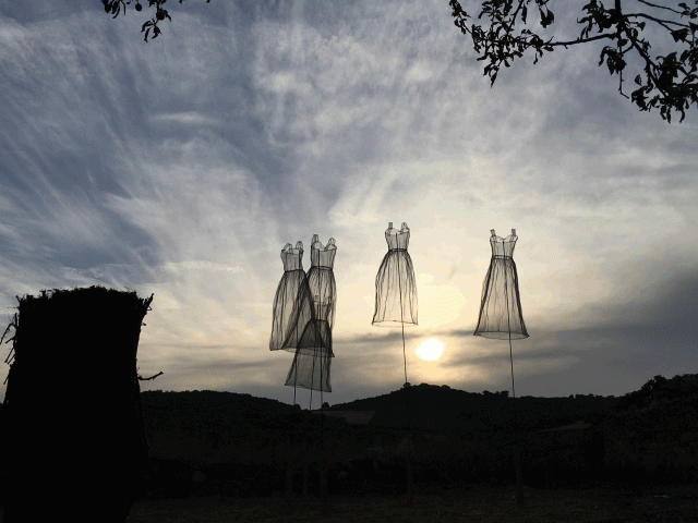 AB5F39BC-7DFF-47C8-AE43-A8A4720E3DFB