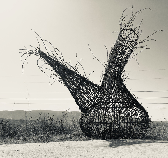 IMage gota gota l yendell