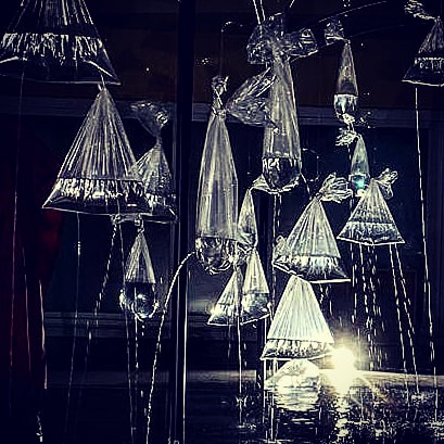 IMG_20191216_083719_842